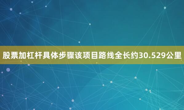 股票加杠杆具体步骤该项目路线全长约30.529公里