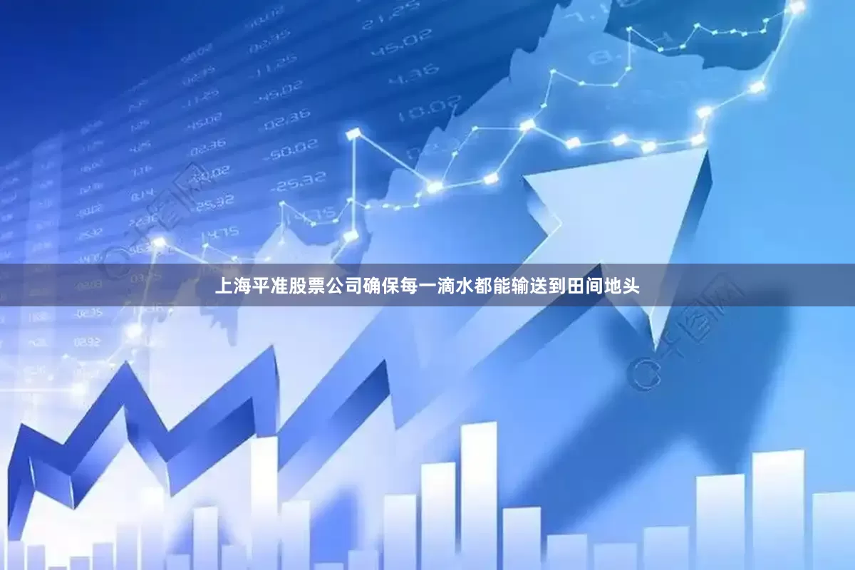 上海平准股票公司确保每一滴水都能输送到田间地头
