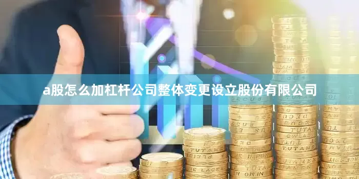 a股怎么加杠杆公司整体变更设立股份有限公司